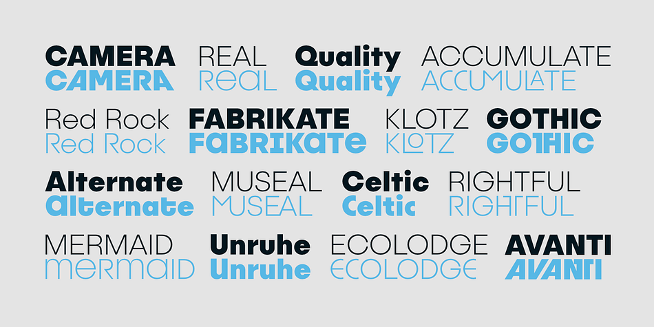 Emphasizing the favorited Publica Sans font family.