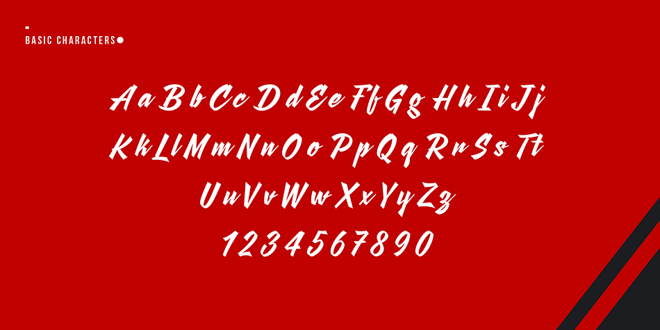 It is equipped with opentype features, stylistic alternates, swashes and more than 600 glyphs.