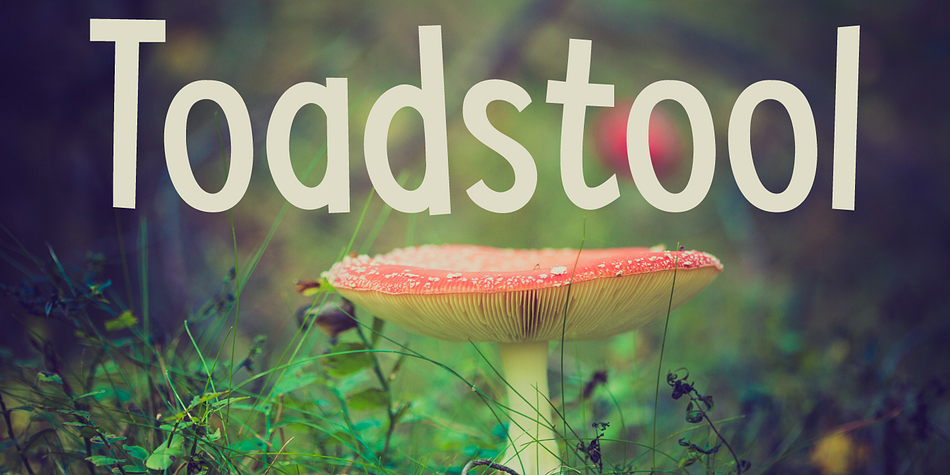 My kids love toadstools, especially the red capped ones with the white spots (they’re called Amanita muscaria, a.k.a.