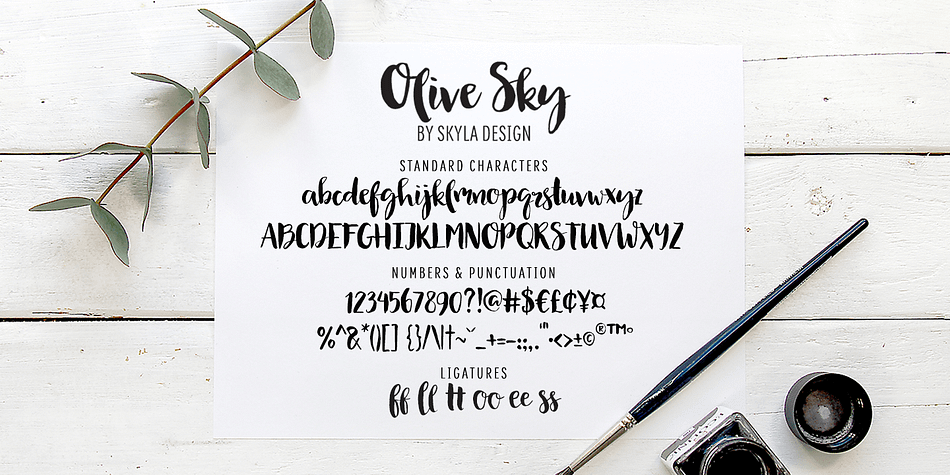 Emphasizing the favorited Olive Sky font family.