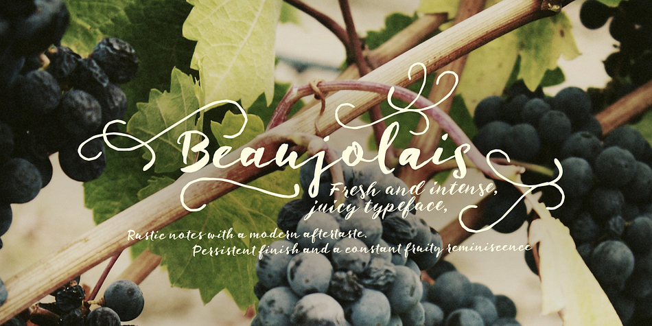 Beaujolais is an organic brush family of two scripts and an ornament set.