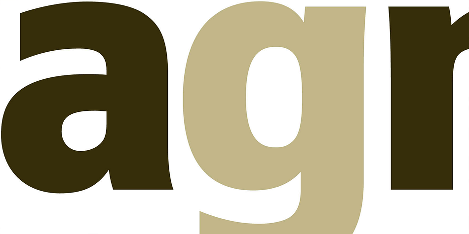 All weights contain small caps, standard ligatures, proportional lining figures, tabular lining figures, proportional old style figures, lining old style figures, matching currency symbols, fraction- and scientific numerals.