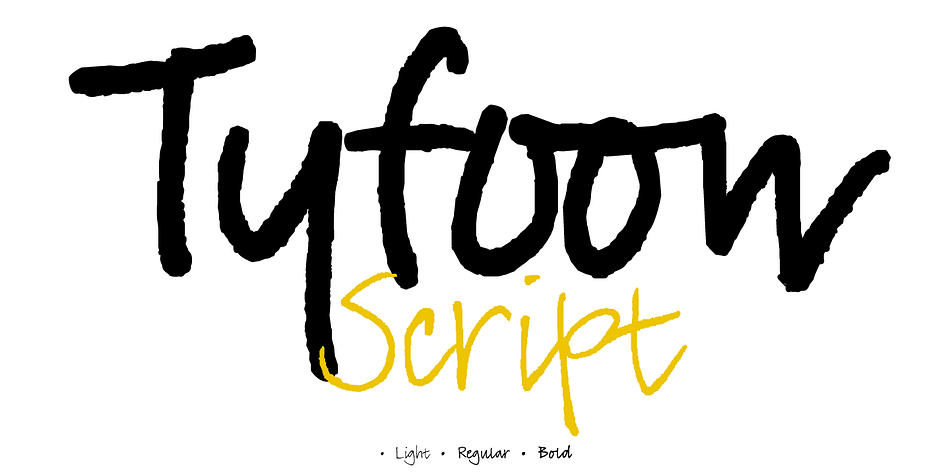 Displaying the beauty and characteristics of the TyfoonScript font family.