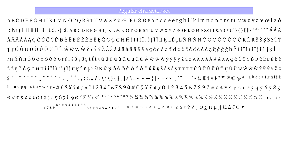 This elegant typeface includes 18 OpenType features including Lining Figures and Standard Ligatures making this font a great value.