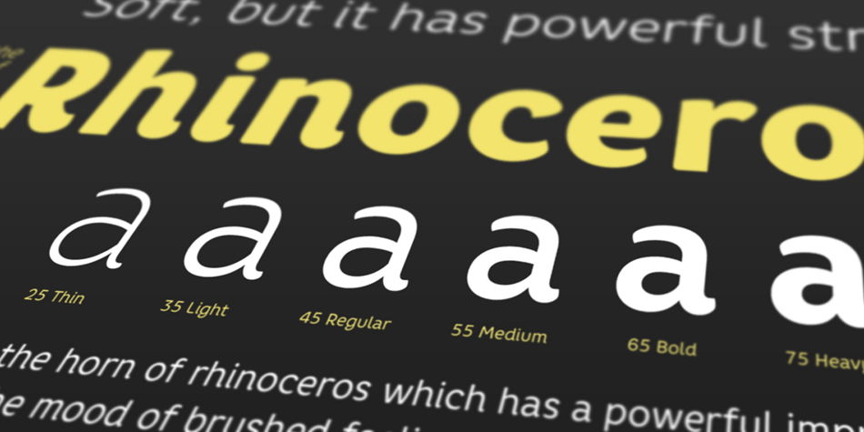 The OpenType fonts contain complete Latin 1252, Cyrillic, Central European 1250, Turkish 1254 character sets.