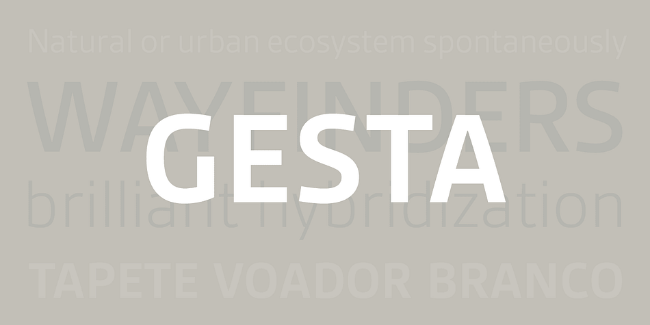 Gesta is a friendly versatile sans serif typeface suitable for corporate and editorial purposes.