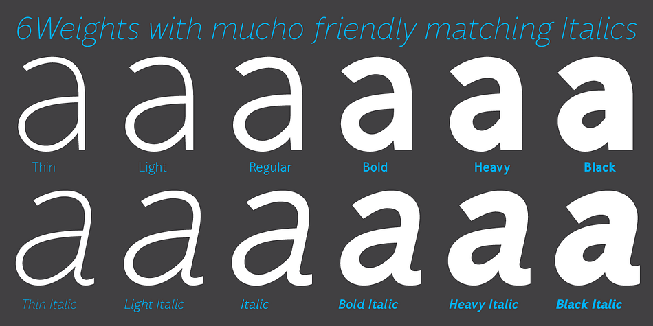 Some of its characteristics are the generous x-height, the Ascender-height that matches the Cap-height, the friendly looking real italics and the low contrast.