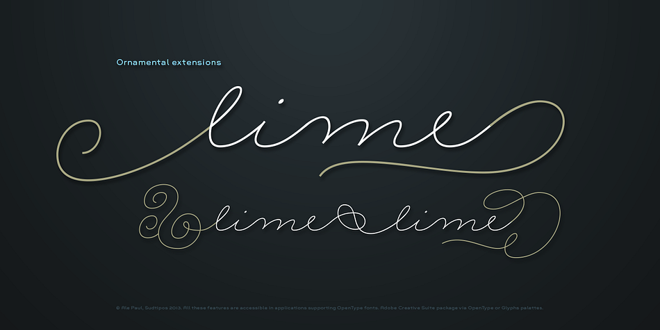 Emphasizing the favorited Rolling Pen font family.