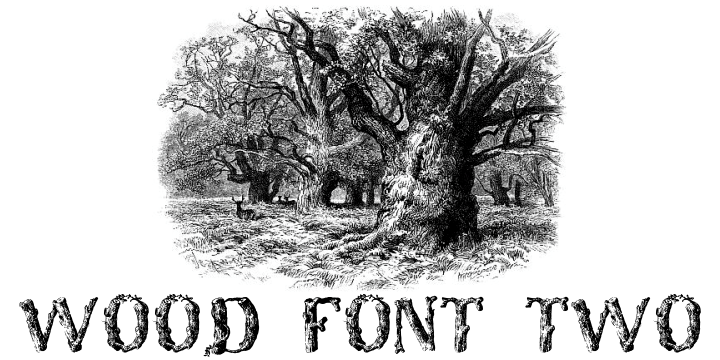 Displaying the beauty and characteristics of the WoodFontTwo font family.