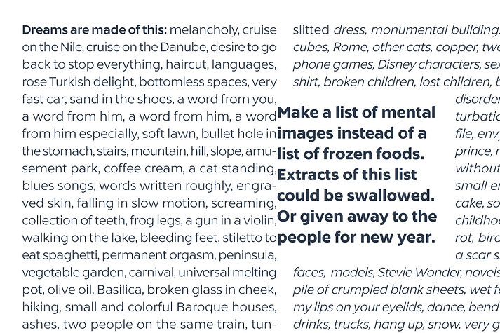 Liszt FY was co-created by Luis Bandovas & Fontyou Team on co-create.fontyou.com, the first collaborative type foundry.