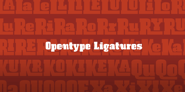 Displaying the beauty and characteristics of the Bock font family.