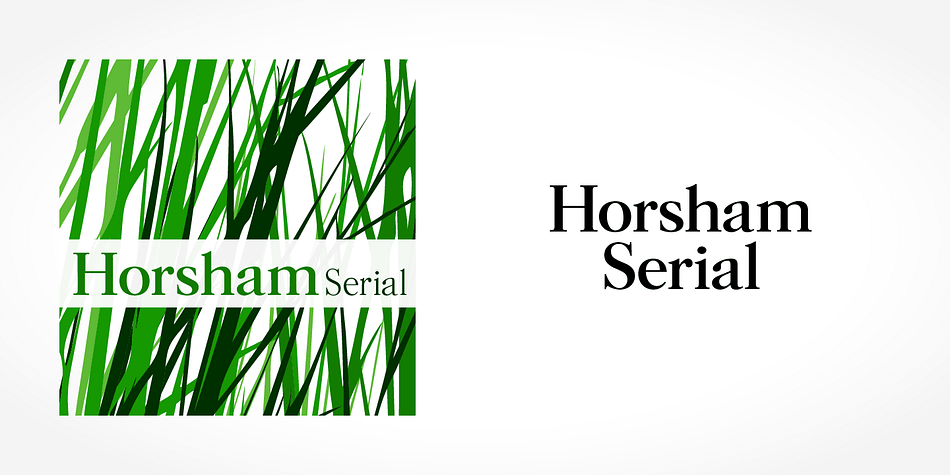 Displaying the beauty and characteristics of the Horsham Serial font family.