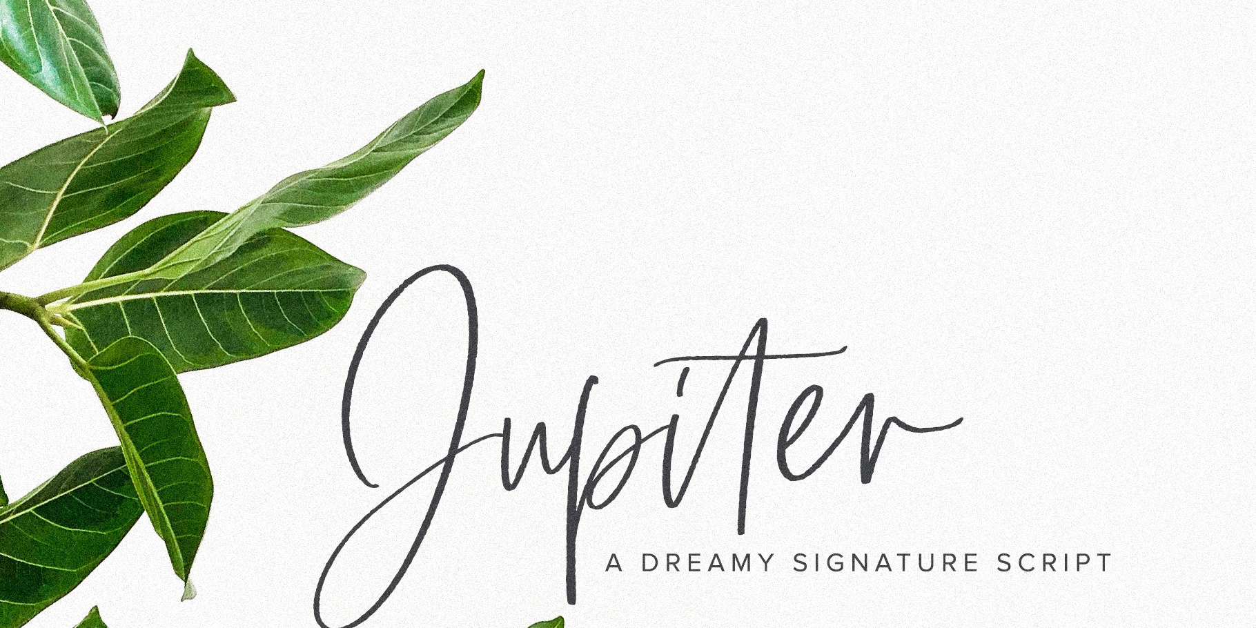 Jupiter Script