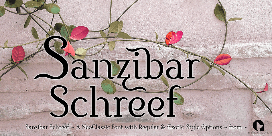Sanzibar Schreef is a striking, modern typeface in two weights mixing slab serif letterforms with straight, rounded & angled terminal styles.
