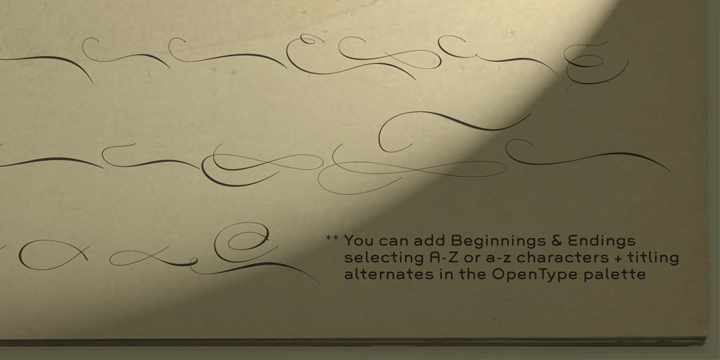 To this end, many ligatures and swashes were made, as well as full flourished sets of letters for use at the beginnings or endings of words and sentences.