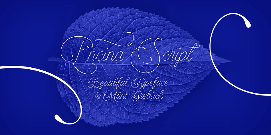 Encina Script is a formal calligraphic typeface, carefully designed by Måns Grebäck.