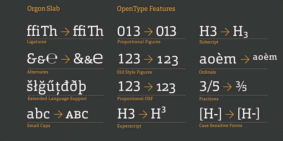 The Orgon Slab consists, as does the Orgon family, of 16 styles and is well suited for ambitious typography.