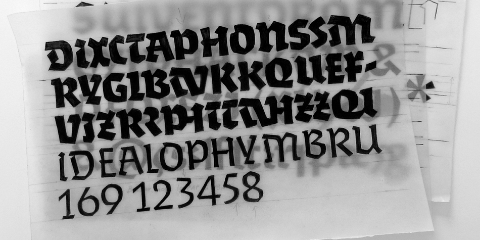 Highlighting the Algo FY font family.