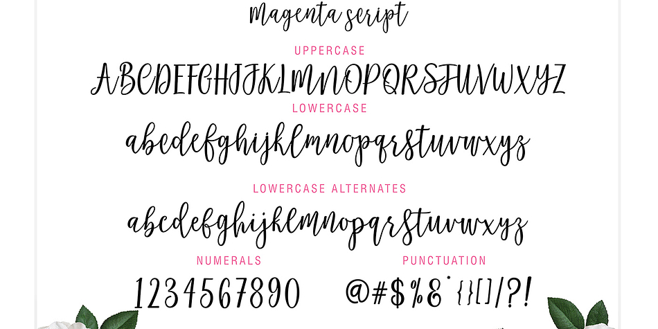 Magenta Script is a cursive typeface with soft lines that can feel fun and feminine.