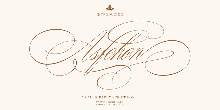 Asfekon font family by Right Type