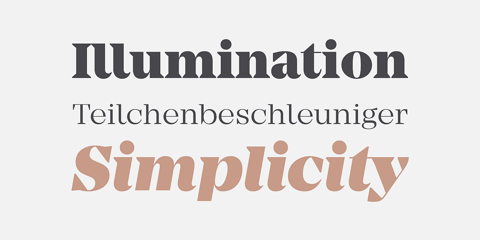 It is equipped with ligatures, a large set of alternative glyphs and many more opentype features.