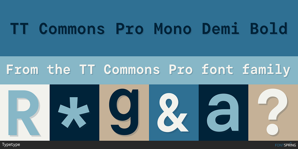 TT Commons Pro Mono Demi Bold Font