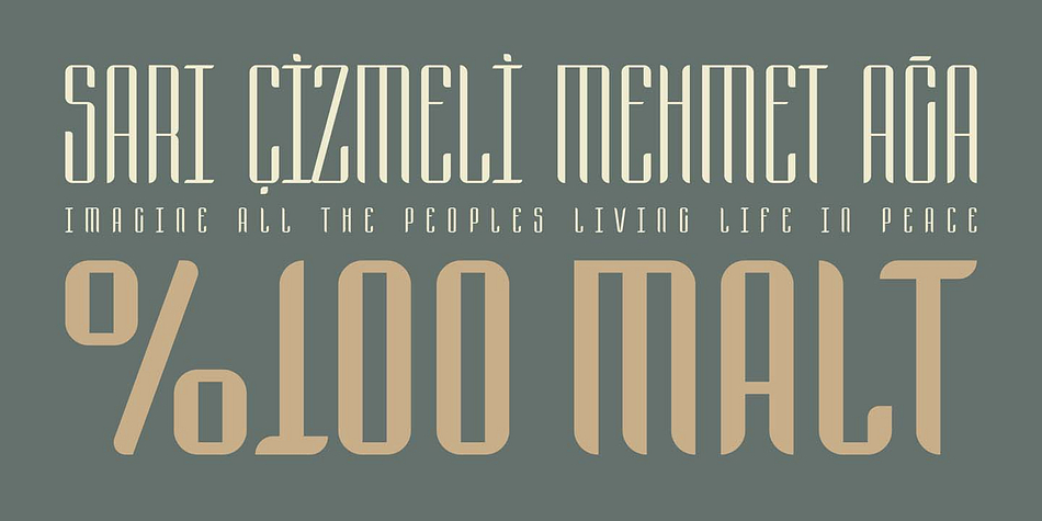 The source of inspiration of this typeface is "barley"
This typeface has three styles. Extensive Latin language support and features multiple weights.