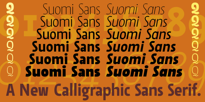 Displaying the beauty and characteristics of the Suomi Sans font family.