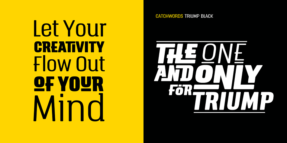 Triump is a sans serif and display serif font family.