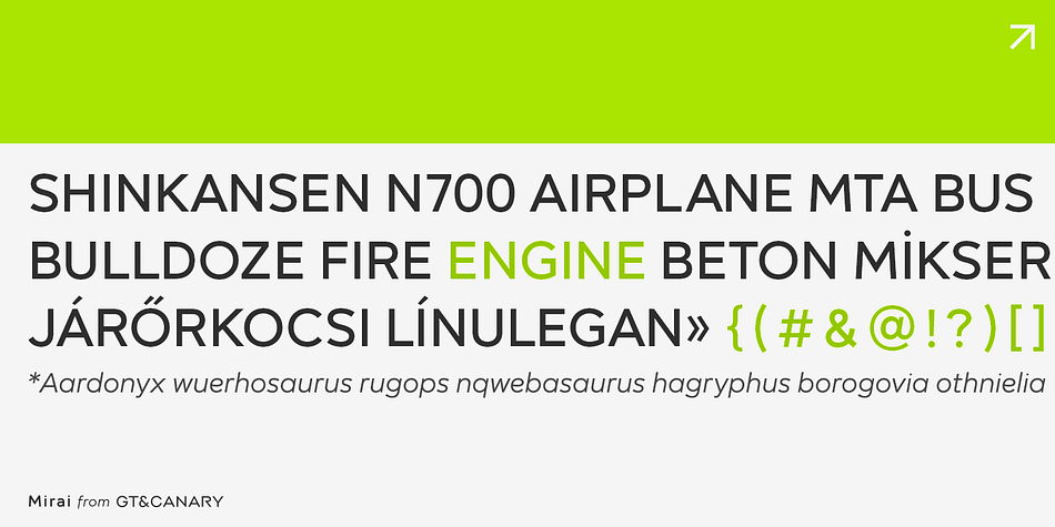 The Mirai font family is comprised of 12 styles with 6 different weights from Thin to black, along with matching italics.