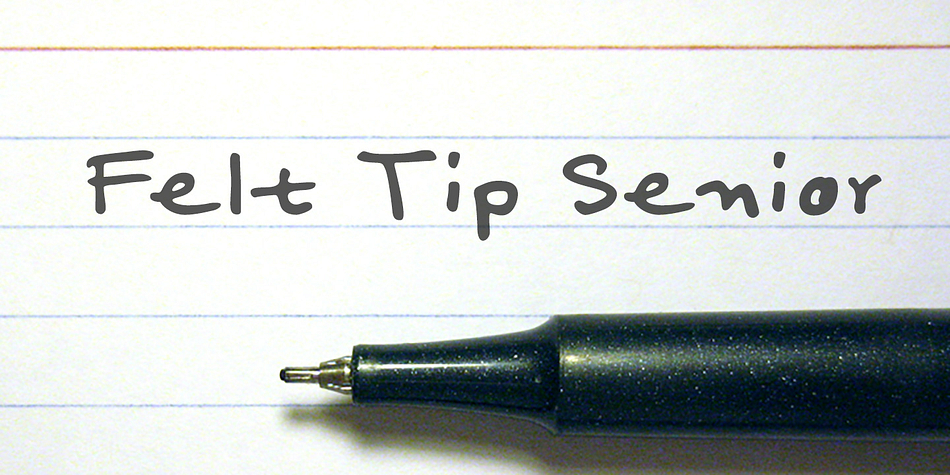 Displaying the beauty and characteristics of the Felt Tip Senior font family.