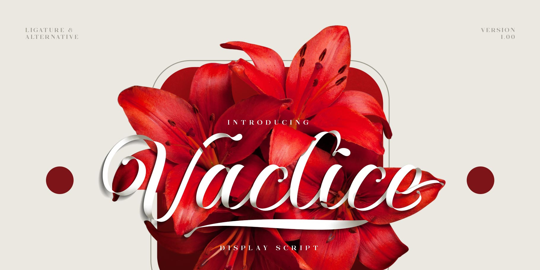 Vaclice