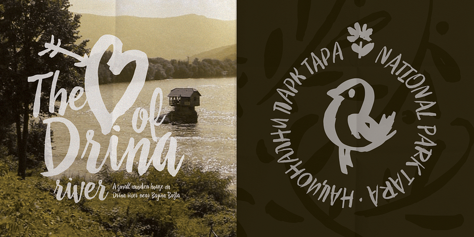 Emphasizing the favorited Drina font family.