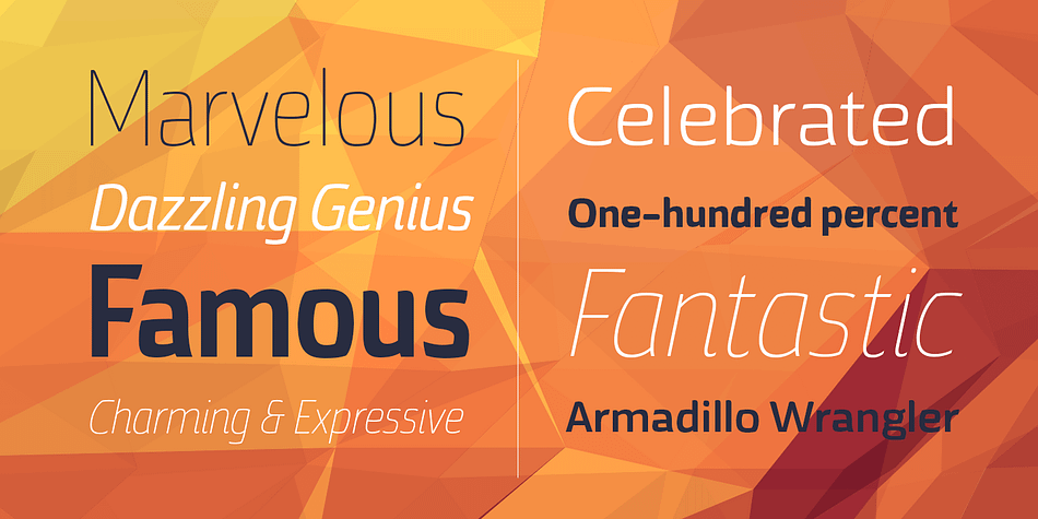 Torcao font family sample image.