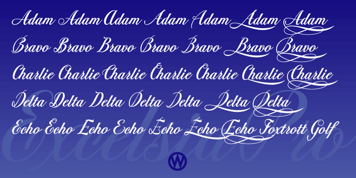 Displaying the beauty and characteristics of the Excelsia Pro font family.