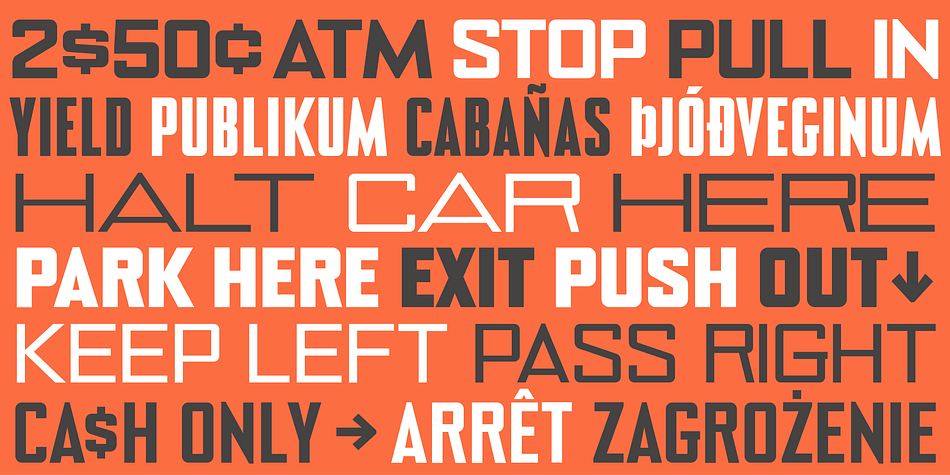 Displaying the beauty and characteristics of the Noexit font family.