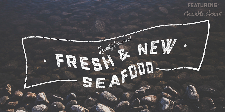 Displaying the beauty and characteristics of the Conifer font family.