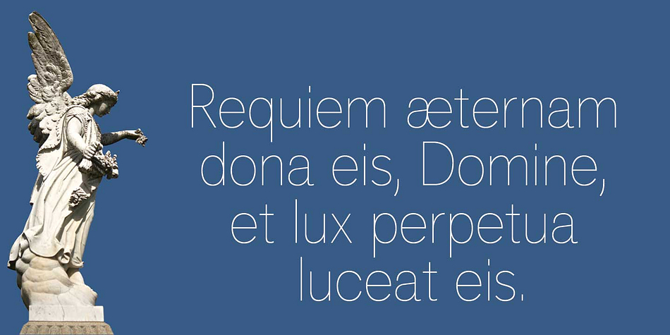The entire Standard CT family includes support for most European languages, OpenType features, arbitrary fractions, and a collection of geometrics, dingbats & fleurons.
