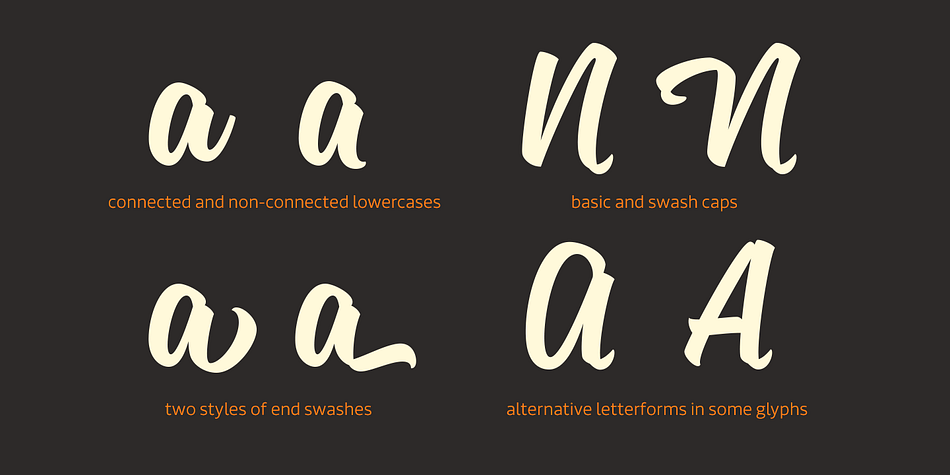 Emphasizing the popular Sanelma font family.