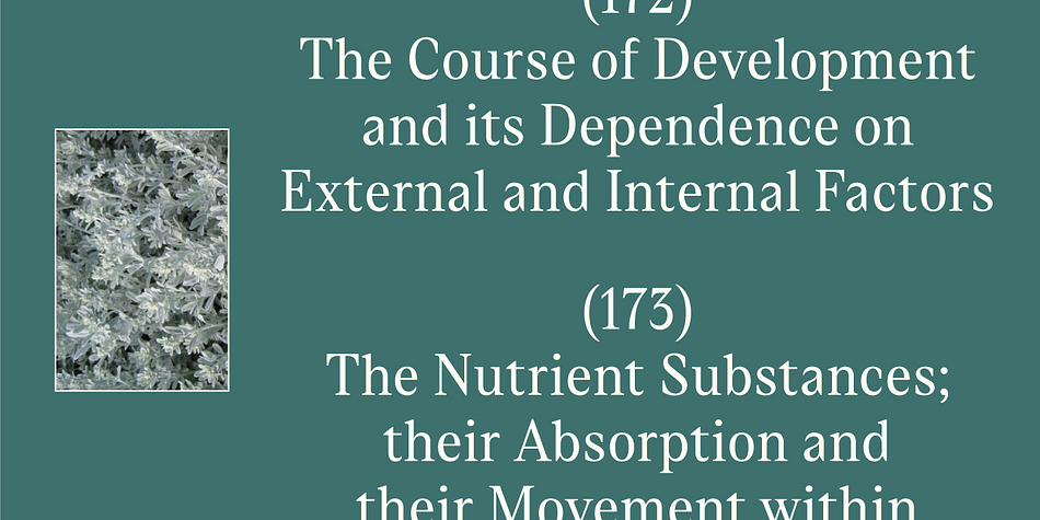 Its dark colour, compressed, spring-like, shapes, well-built proportions, and agreeable letterforms all look safe enough until one is jolted to encounter the clipped serifs that lend the page an unexpectedly edgy appearance.