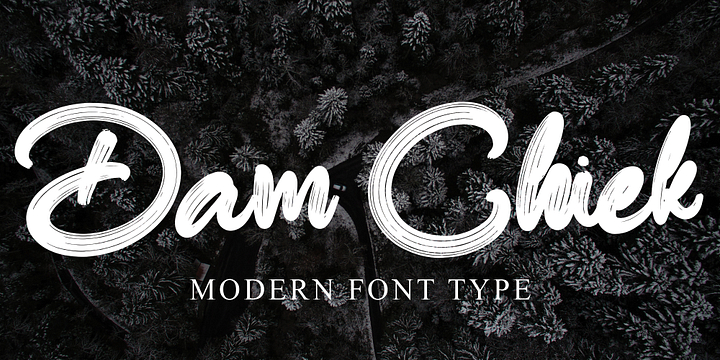 Dam Chiek font family by Ayska