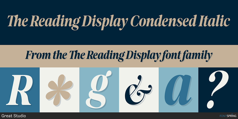 The Reading Display Condensed Italic Font