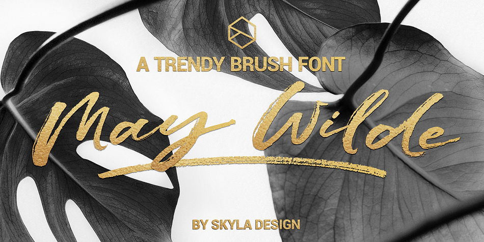 May Wilde is a trendy, brush font with lots of texture and style.