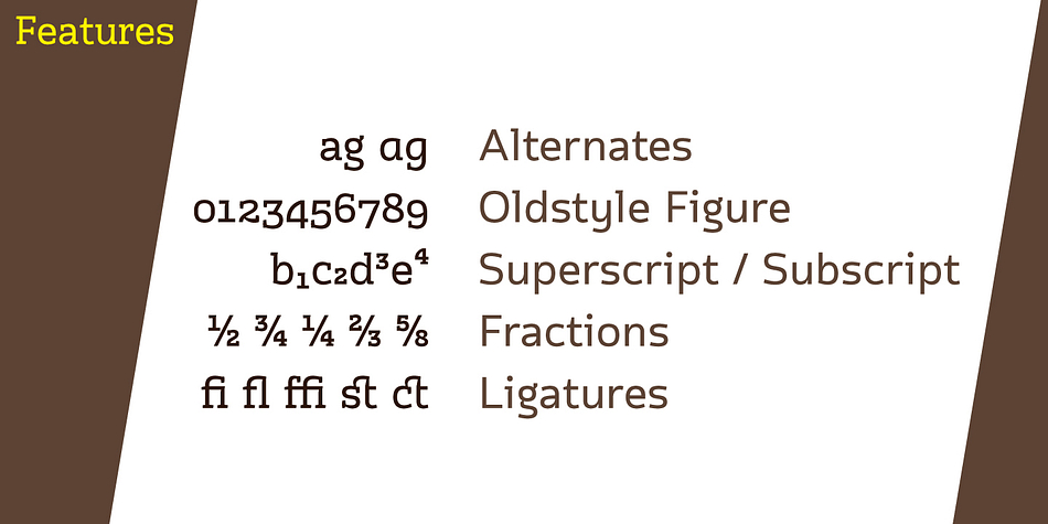 Displaying the beauty and characteristics of the Cline font family.