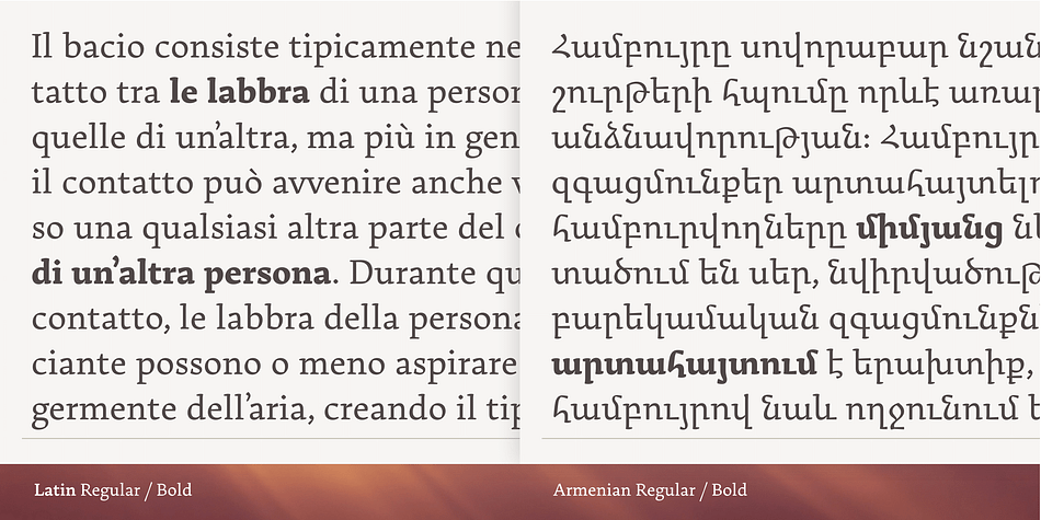 The design draws on extensive research in traditional manuscripts, exploring and emphasising the distinctive, calligraphic roots of Armenian.