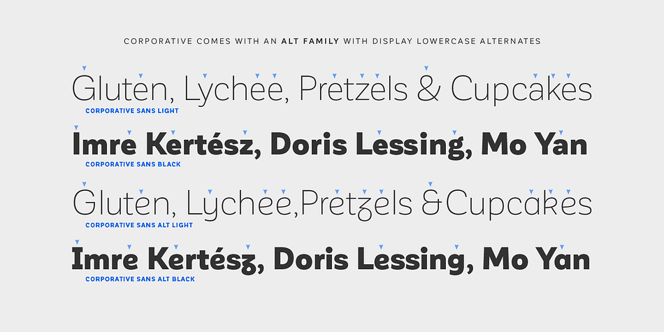 Displaying the beauty and characteristics of the Corporative Sans font family.