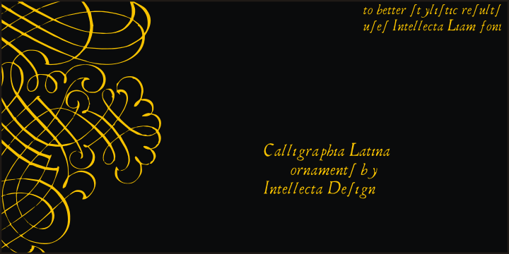One of the most successful ornament fonts is CalligraphiaLatina.