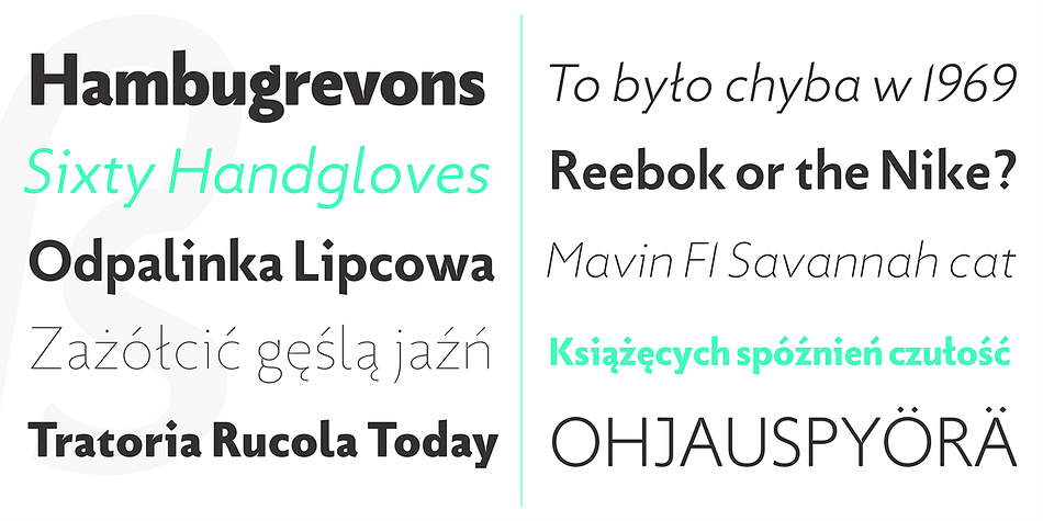 Displaying the beauty and characteristics of the Picadilly font family.