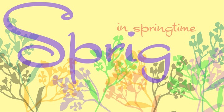 Displaying the beauty and characteristics of the Sprig font family.