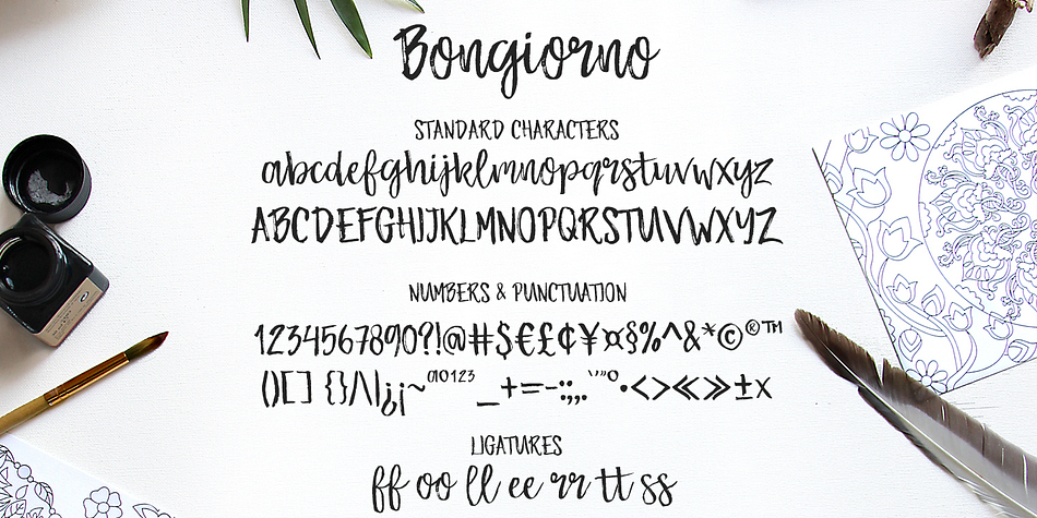 Emphasizing the favorited Bongiorno font family.